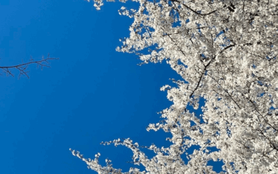 Gedanken